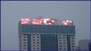 LED格柵屏